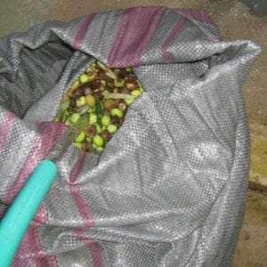 Olive Harvesting Bags