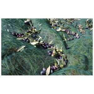 Olive Harvesting Nets