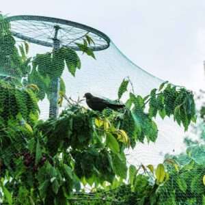 Bird Protection Nets