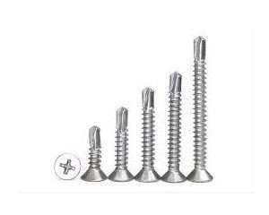 Drill screws